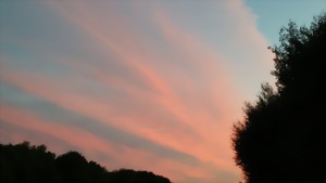 022-large.jpg