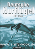 nurfluegel-medium.gif